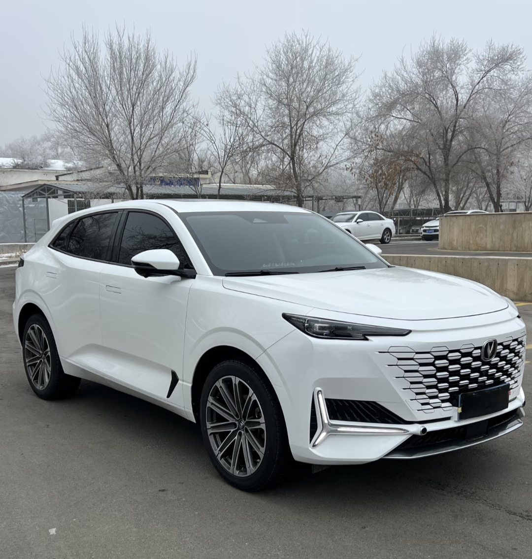Our certified used vehicles undergo rigorous inspection and arrive ready for immediate market resale.
